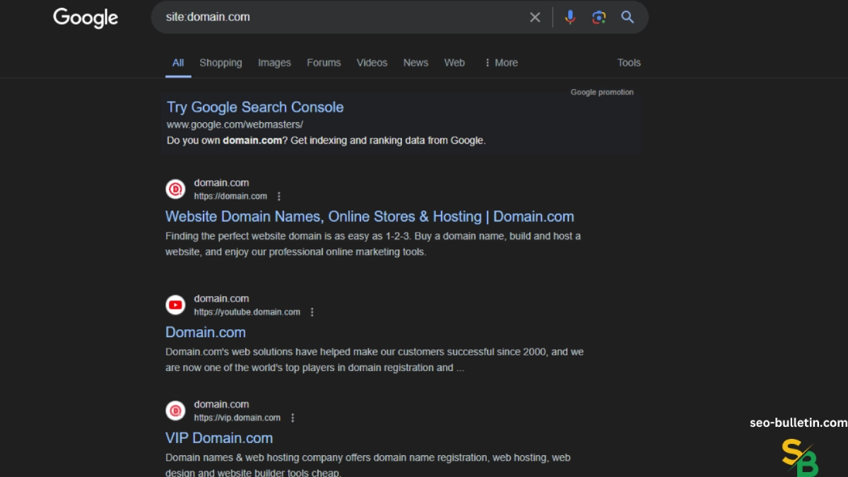 how to check indexing of  a website